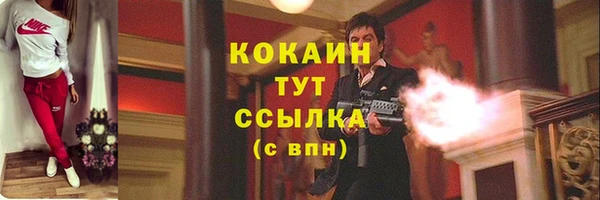 крисы Балахна